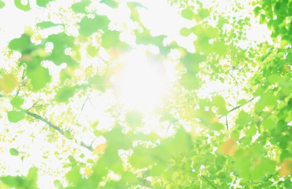 都城市でエアコンクリーニングをお探しの方は、ラビットライフまで